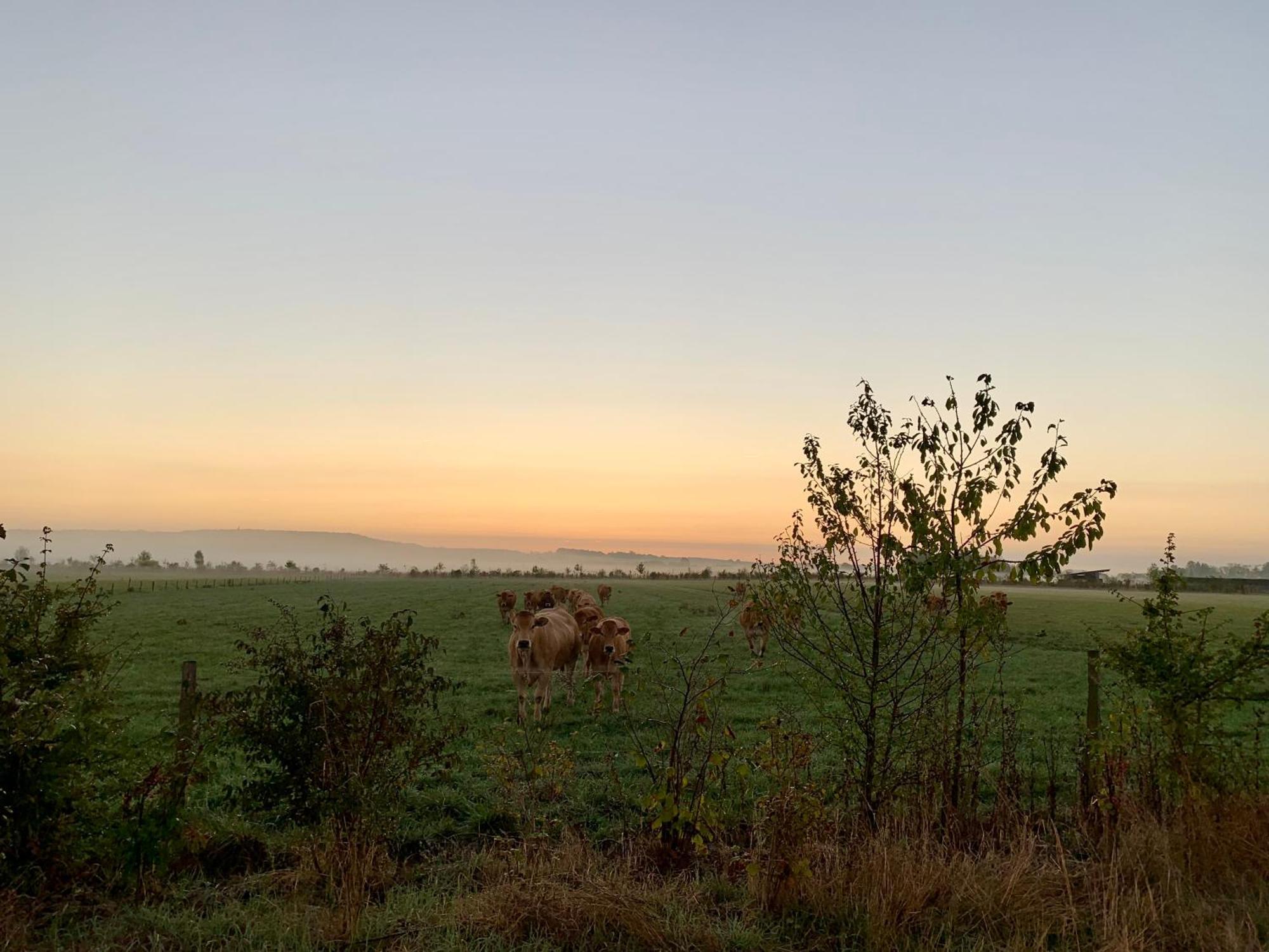 La Gouronerie Bed & Breakfast Parcay-sur-Vienne ภายนอก รูปภาพ